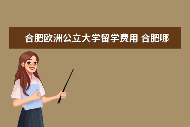 合肥欧洲公立大学留学费用 合肥哪些大学是公立的?