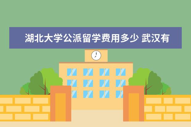 湖北大学公派留学费用多少 武汉有哪些专升本的学校!
